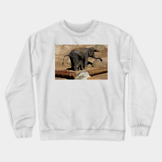 Elephant Mother and Son Crewneck Sweatshirt by GP1746